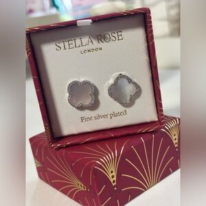 Silver Plated Earrings